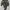 vivienne westwood anglomania asymmetric top photo 6