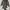 vivienne westwood anglomania asymmetric top photo 2