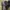 Chelsea boots Dr.martens photo 7