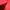 Casual Windbreaker Pria red photo 5