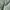 Minimalist Casual Short Pria green photo 4
