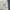 Skechers Sportswear Short Pria cream photo 4