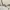 Moricompany Korea Paris Vibes Broken White Sweatshirts Crewn photo 7