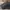NIKE AIR MAX TN PLUS FULL BLACK photo 6