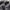 NIKE AIR MAX TN PLUS FULL BLACK photo 3