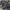 NIKE AIR MAX TN PLUS FULL BLACK photo 5