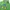 Keith Haring Streetwear Hoody Pria green photo 2