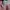 Stussy Streetwear Hoody Pria pink photo 5