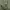 Vintage Military M65 Field Jacket photo 7