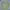 Vintage Military M65 Field Jacket photo 2