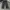 Streetwear Skater Jeans Pria black gray photo 3