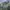 M65 Woodland Field Jacket photo 2
