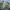 M65 Woodland Field Jacket photo 3