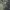M65 Woodland Field Jacket photo 7