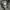 M65 Woodland Field Jacket photo 10
