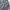 Pleated Shorts Grey