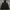 The North Face Gorpcore Windbreaker Pria black photo 2