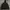 The North Face Gorpcore Windbreaker Pria black photo 3