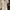 Vintage Casual Midi dress Wanita cream photo 7