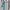 LE COQ SPORTIF SMALL LOGO ZIPP HOODIE photo 4