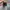 Air Max Plus ‘Triple Black’ (604133-050) photo 4
