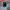 Nike Air Zoom Vomero 5 ‘Triple Black’ Original photo 3