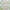 Cottagecore Fairy Prom Dress Wanita Tan Cream