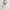Zara technical Hooded Puffer Jacket photo 6