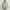 Zara Technical Hooded Puffer Jacket