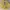 MLB Luxury Sportswear Sweater Pria yellow photo 4