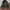 Avirex U.S Army Mountaineers Parka Jacket photo 7
