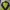 Tracktop Kappa 