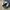 874 Dickies Workpants Navy  photo 7