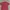 M231 Red Shirt