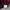 Hazzys Casual Polo shirt Pria burgundy photo 3