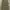 Lafudge Store One Tuck Wide Baggy Pants Olive 