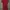 Dress merah Abercrombie photo 2