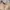 Musinsa Standard Two Tuck Wide Baggy Balloon Pants Beige  photo 6