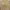 Musinsa Standard Two Tuck Wide Baggy Balloon Pants Beige 