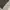 Baon Haus Wide Baggy Pants Olive Grey photo 10
