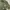 Topten Military Inspered Hooded Utility Jacket Double Big Po photo 4
