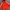 Boxy Fit Adidas Trefoil Red Colour Puffer Jacket  photo 4