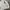 AMI Knit Wool Big Heart White photo 3