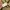 Gorpcore Goodday Softshell Outdoor Jacket photo 8