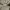 Gorpcore Goodday Softshell Outdoor Jacket photo 7