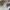 AMI Knit Wool Blend White photo 6
