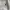 AMI Knit Wool Blend White photo 4