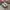 Salomon XT-6 Gore-Tex White Silver photo 2