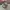 Salomon XT-6 Gore-Tex White Silver photo 3