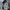 Baggy Cargo Pants By BLACKSMITH photo 5
